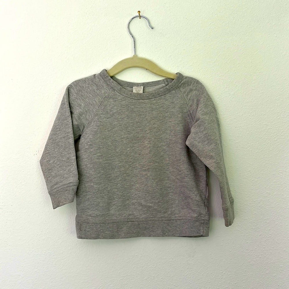 Colored Organics 12M size sweatshirt